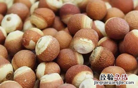 芡实有什么副作用 芡实的作用和副作用