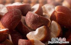 芡实有什么副作用 芡实的作用和副作用