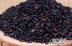 黑米的营养价值及功效 黑米的营养价值
