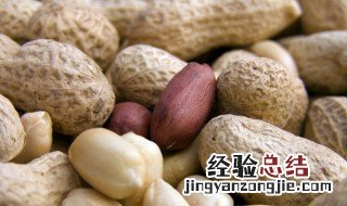 花生用英语怎么读 花生用英语怎么念