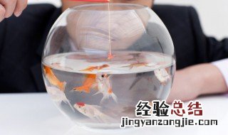 打串钩用什么鱼竿 抛竿串钩钓鱼注意事项有哪些？