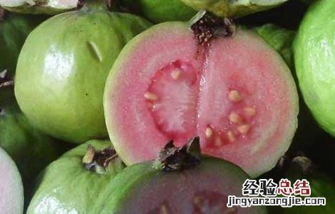 番石榴有什么副作用 番石榴有什么副作用和毒性