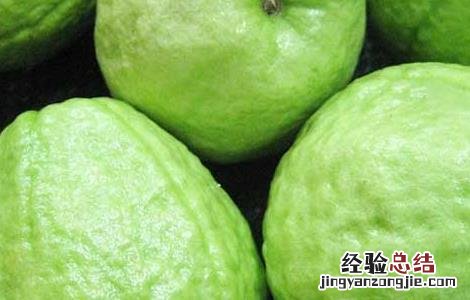 番石榴有什么副作用 番石榴有什么副作用和毒性