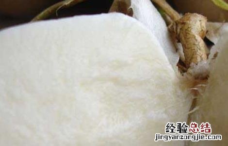 地瓜的营养价值 地瓜的营养价值及功效与作用禁忌
