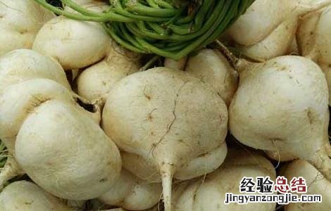 地瓜的营养价值 地瓜的营养价值及功效与作用禁忌