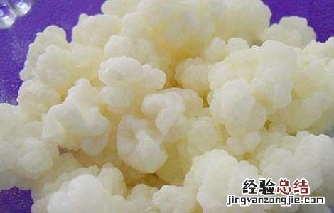 雪莲菌的功效与作用及食用方法空腹喝要 雪莲菌的功效与作用