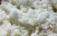 雪莲菌的功效与作用及食用方法空腹喝要 雪莲菌的功效与作用