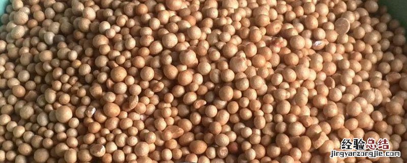 控释肥可以种小麦吗 控释肥能作小麦底肥吗
