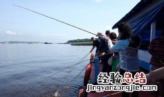 鱼竿45米37调好还是28调好 鱼竿28调和37调有什么区别?