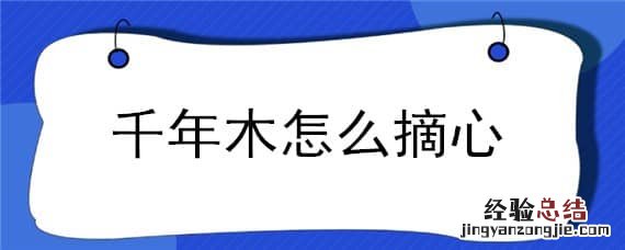千年木如何摘心 千年木怎么摘心