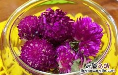 千日红花茶的功效与作用及禁忌 千日红花茶的功效与作用