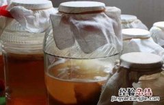 红茶菌的功效与作用及禁忌症 红茶菌的功效与作用
