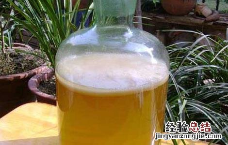 红茶菌的功效与作用及禁忌症 红茶菌的功效与作用