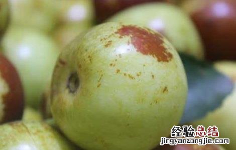 冬枣的功效与作用禁忌 冬枣的功效与作用