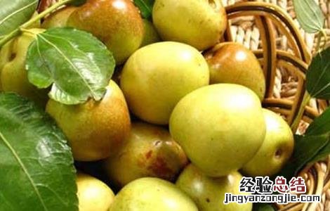 冬枣的功效与作用禁忌 冬枣的功效与作用