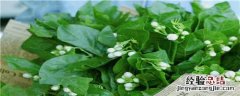 茉莉适合什么土壤种植 茉莉适宜土壤