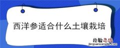 西洋参适合种植地区 西洋参适合什么土壤栽培