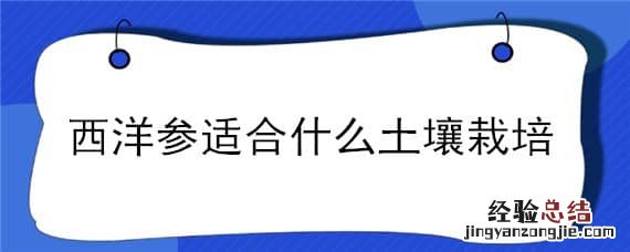 西洋参适合种植地区 西洋参适合什么土壤栽培