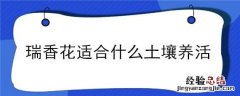 瑞香花适合什么土壤养活 瑞香花用什么土栽最好