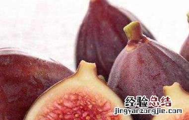 蛋白质含量高的水果排名 蛋白质含量高的水果