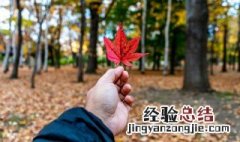 和家人朋友秋游的心情说说 秋天家人出游经典说说