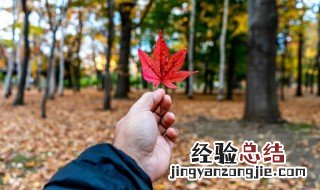和家人朋友秋游的心情说说 秋天家人出游经典说说