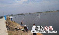 春季阴天适合钓鱼吗 应该如何钓鱼