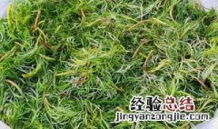 柳蒿芽的功效与作用及副作用 柳蒿芽的功效与作用