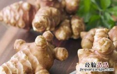 菊芋的功效与作用图片 菊芋的功效与作用