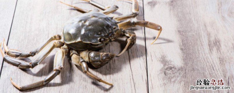 螃蟹起泡泡是为什么呢 螃蟹冒泡意味着什么