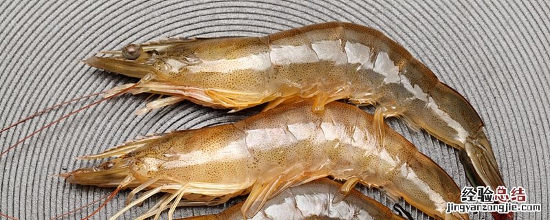 虾冻久了变黑还能吃吗 冻虾化冻后变黑还能吃吗