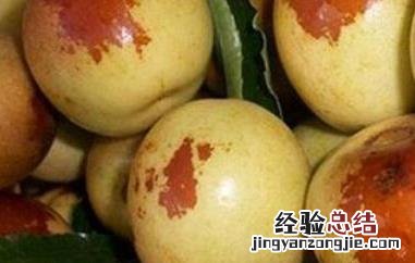 梨枣和冬枣哪个价值高 梨枣和冬枣的区别