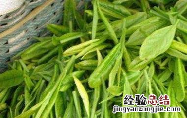 霍山黄芽属于什么茶 霍山黄芽属于什么茶多少钱一斤