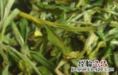 霍山黄芽怎么保存 霍山黄芽如何保存