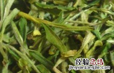 霍山黄芽怎么保存 霍山黄芽如何保存