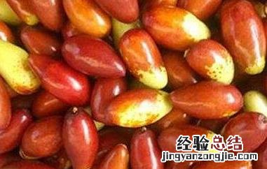 马牙枣 马牙枣产地是哪里