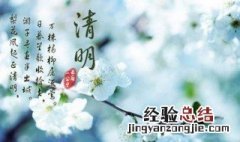 清明这天都干什么 清明那天干什么