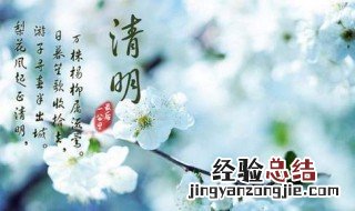 清明这天都干什么 清明那天干什么