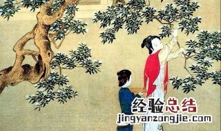 士也罔极二三其德什么意思 士也罔极二三其德的意思