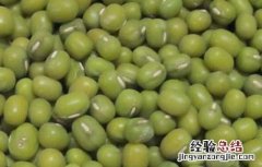 绿豆的功效与作用 绿豆的功效与作用禁忌及副作用