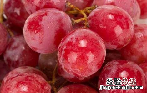 提子是凉性还是热性 新疆提子是凉性还是热性