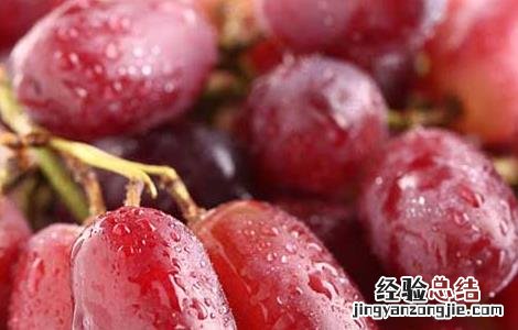 提子是凉性还是热性 新疆提子是凉性还是热性