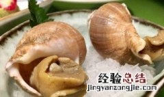 螺肉的功效与作用及药用价值 螺肉的功效与作用