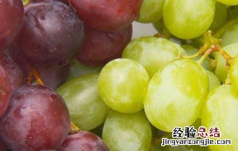 葡萄和提子的营养价值 提子的营养价值