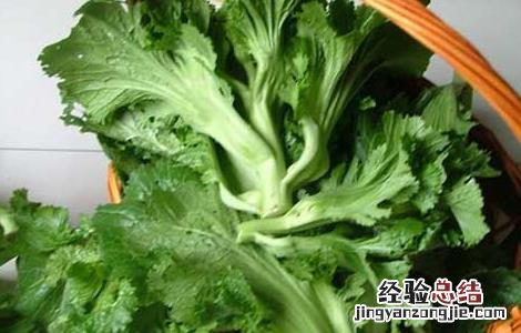 芥菜的营养价值和药用价值 芥菜的营养价值