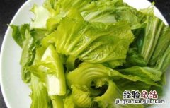 芥菜的营养价值和药用价值 芥菜的营养价值