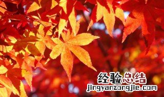 天气变凉的唯美句子 关于天气变凉的句子