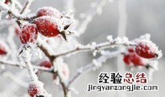 冬天的治愈文案 冬天文案治愈系