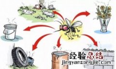 蚊子飞多少米 蚊子飞行距离有多远