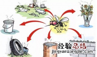 蚊子飞多少米 蚊子飞行距离有多远